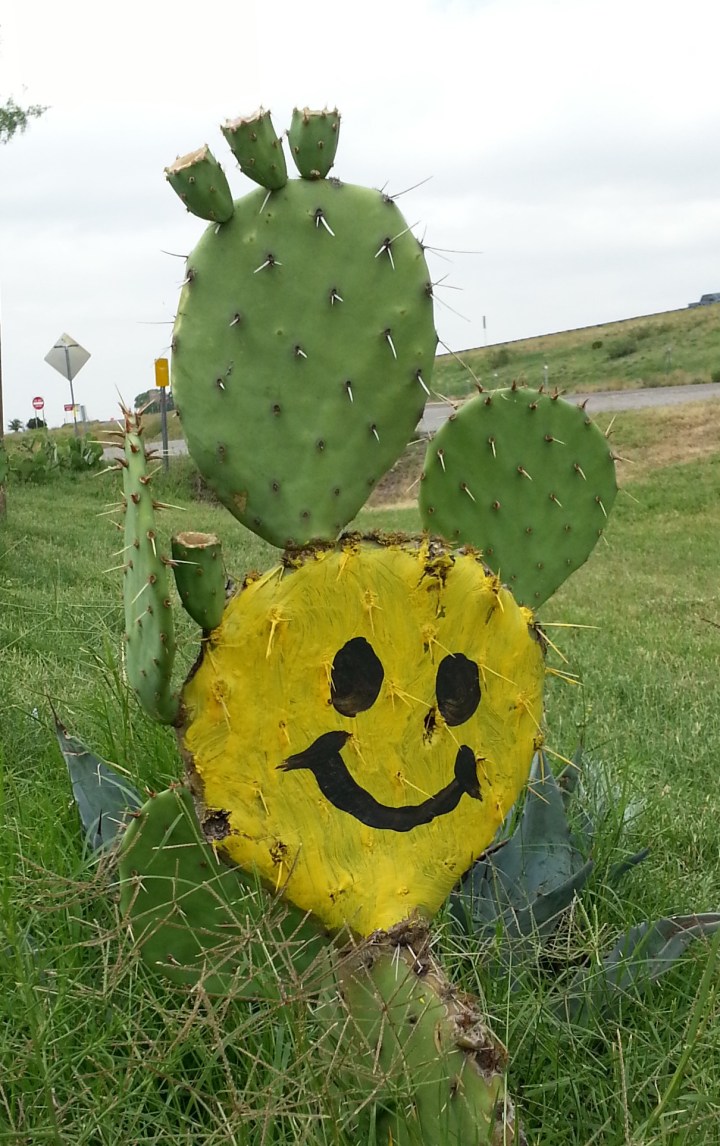 I saw this in Balmorhea a couple years ago. Prickly Pears make me happy.