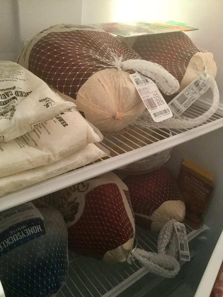 46502117_10215595571234863_7020703032673304576_n