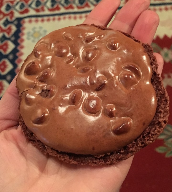 First attempt at flourless chocolate cookies was a success!
