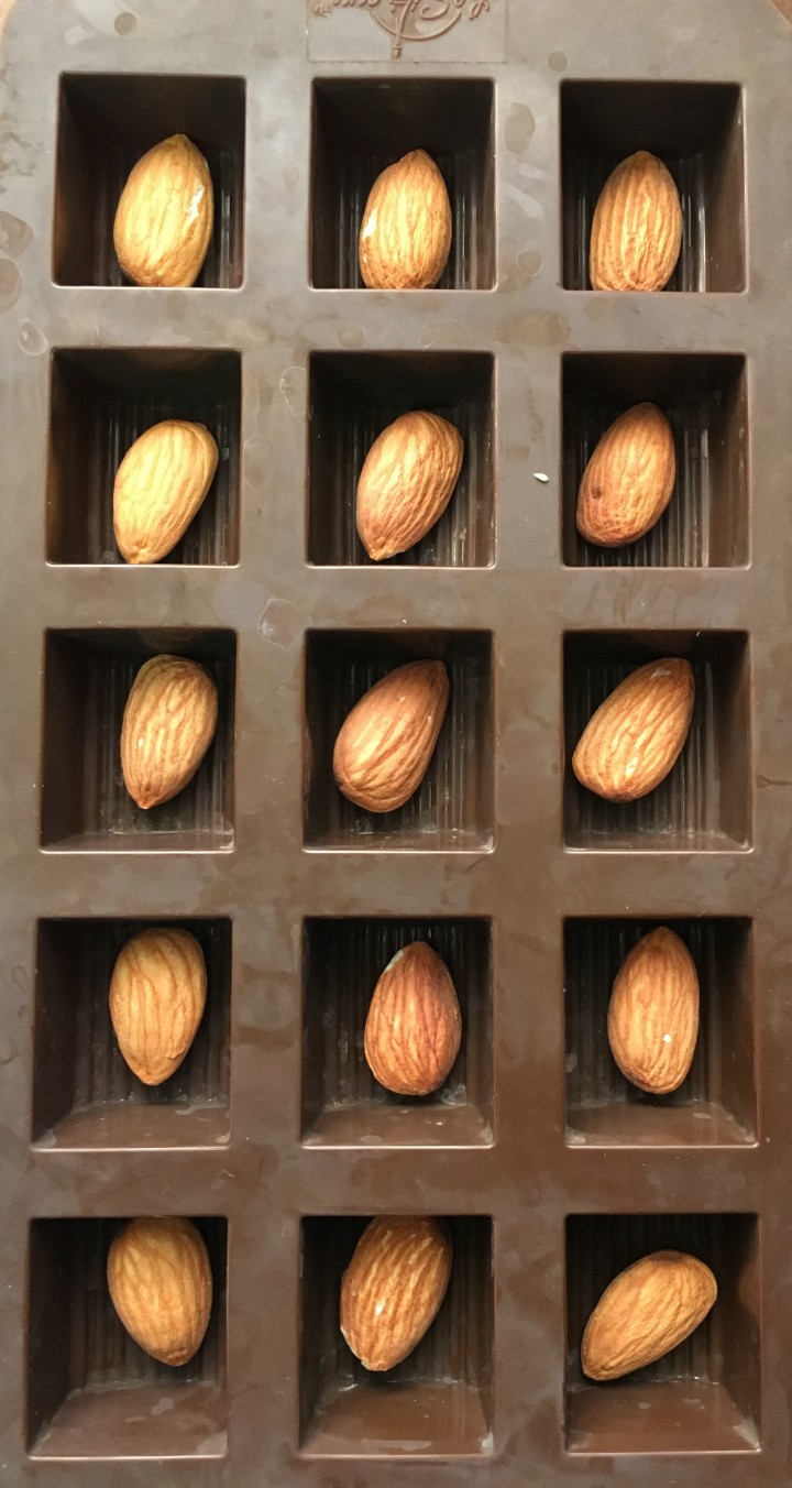 Almonds in candy molds before getting drenched in melted chocolate.
