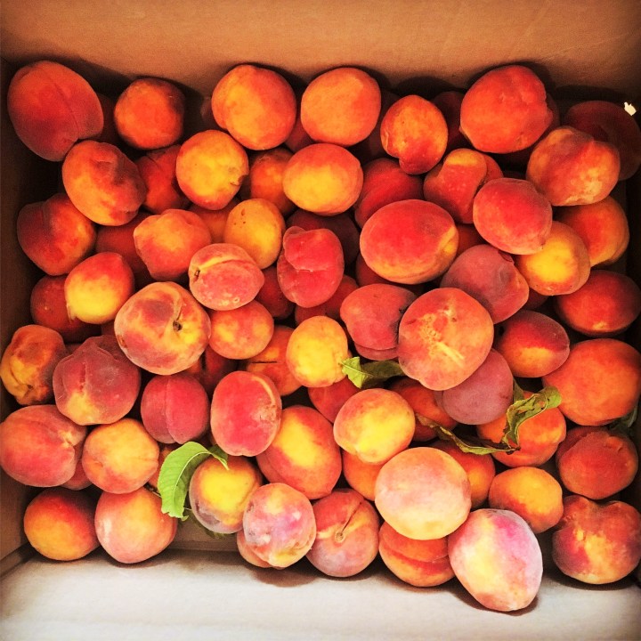 Box of local peachs from Stone Village in Fort Davis.