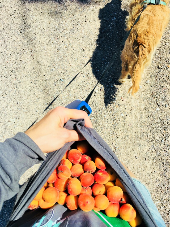 No bag, no problem. It was a tricky walk home.