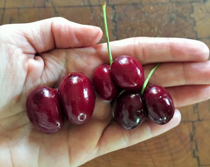 The bing cherries from Washington had lots of doubles.
