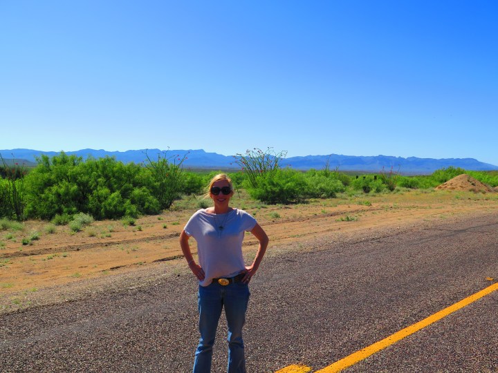 One of our usual afternoon cruises... River Road AKA Highway 170. Those mountains in the background are Mexico. Ocotillo were in full bloom and cast a red haze on the landscape.