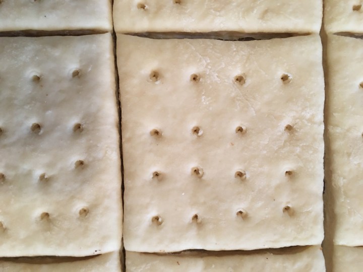 Pre-baked hardtack dough, docking holes poked with a screw, sliced with a pizza cutter.