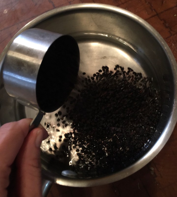 Half a cup of dried elderberries added to two cups of water.