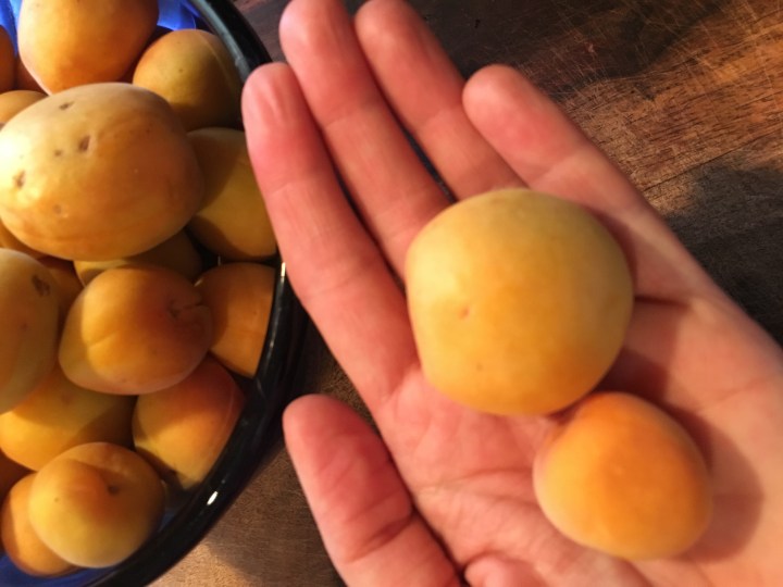 Big or small, I love them all.